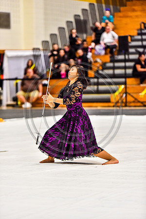 N-8 Winterguard_170422_South Brunswick-8982