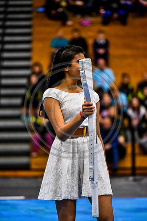 N-8 Winterguard Novice_170422_South Brunswick-6586