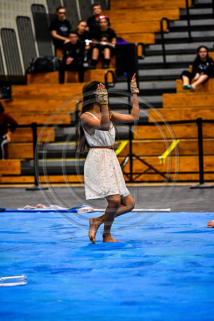 N-8 Winterguard Novice_170422_South Brunswick-6580