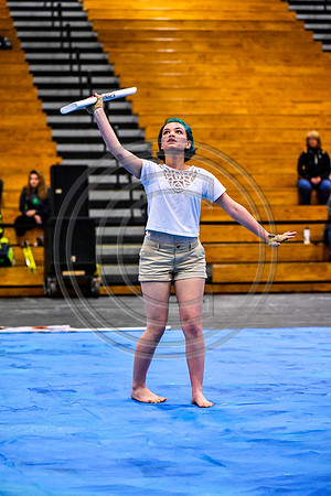N-8 Winterguard Novice_170422_South Brunswick-6583