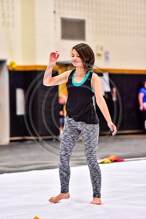 N-8 Winterguard Novice-590