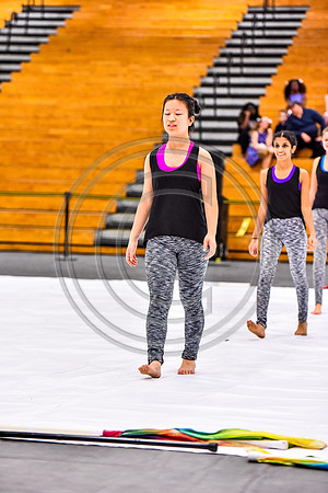 N-8 Winterguard Novice-586