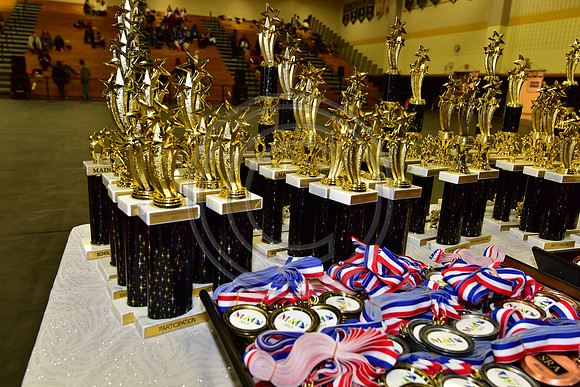 Awards-011