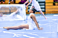 Hillsborough Guard-1600