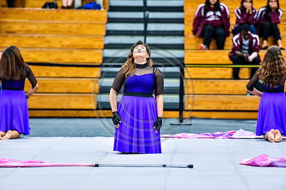 Matawan Enigma Guard-1233