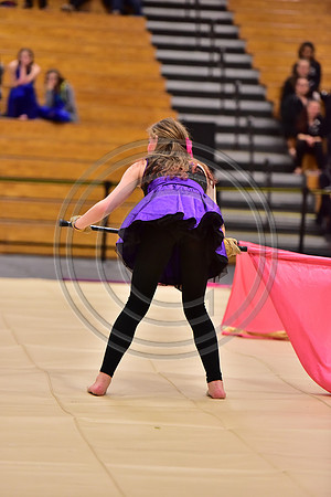 Wayne Hills Guard-484