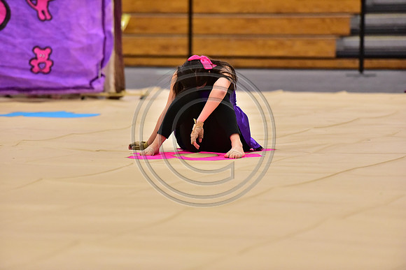 Wayne Hills Guard-466