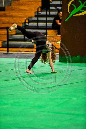 Wayne Hills Guard_170422_South Brunswick-8615