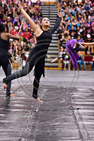 Somerville Open Guard-2908