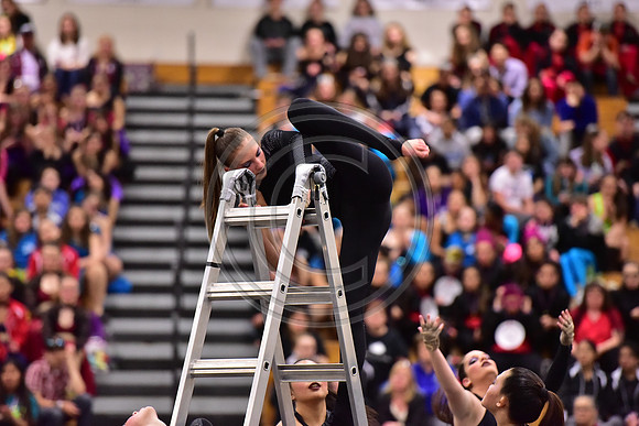 Somerville Open Guard-2895