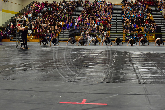 Somerville Open Guard-2858