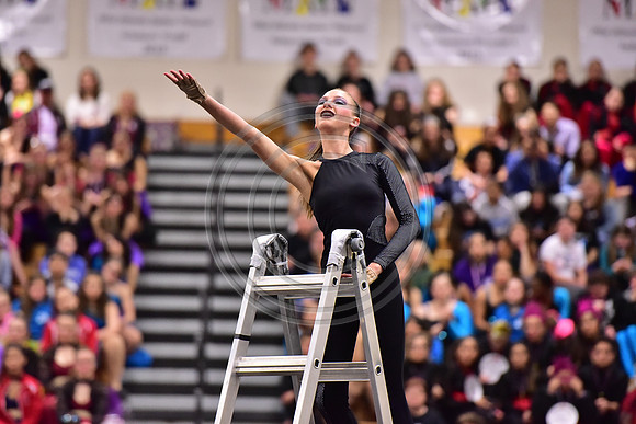 Somerville Open Guard-2896