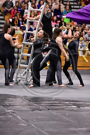 Somerville Open Guard-2906