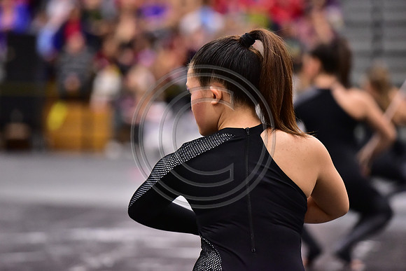 Somerville Open Guard-2913