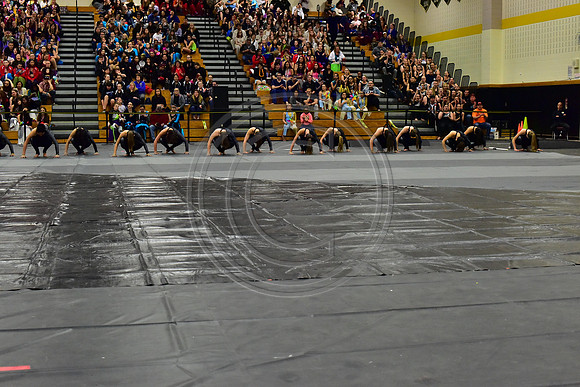 Somerville Open Guard-2859
