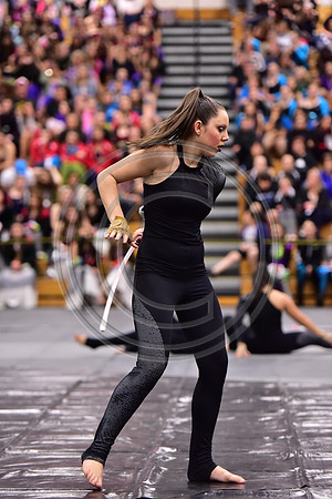 Somerville Open Guard-2886