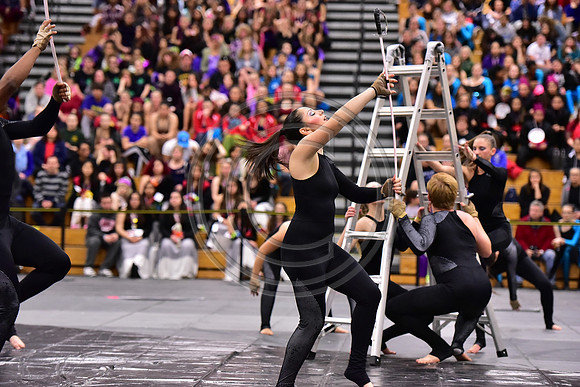 Somerville Open Guard-2893