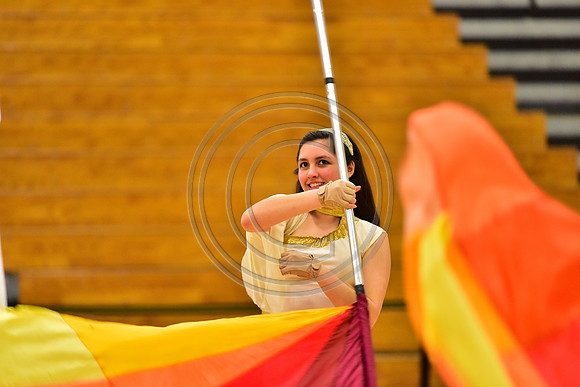 Upper Dublin Guard-786