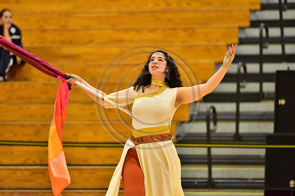 Upper Dublin Guard-784