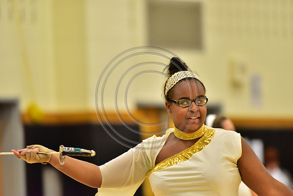 Upper Dublin Guard-790