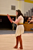 Upper Dublin Guard-760