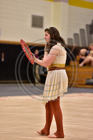 Upper Dublin Guard-760