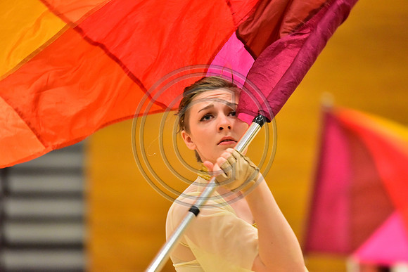 Upper Dublin Guard-796