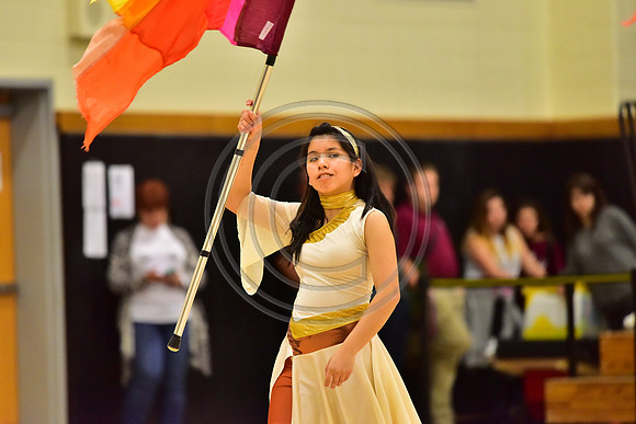 Upper Dublin Guard-791