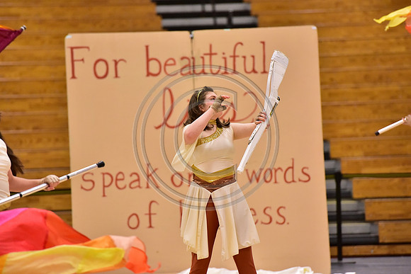 Upper Dublin Guard-810