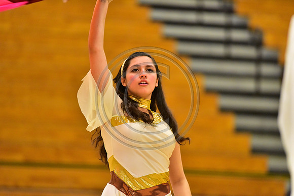 Upper Dublin Guard-795