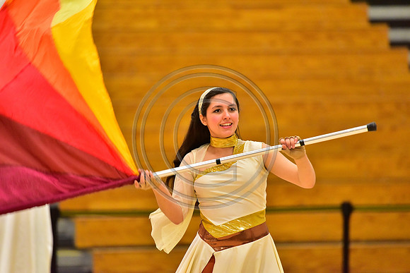 Upper Dublin Guard-787