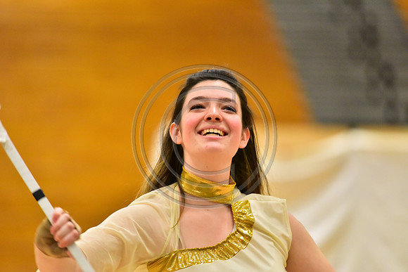 Upper Dublin Guard-785