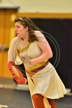 Upper Dublin Guard-780