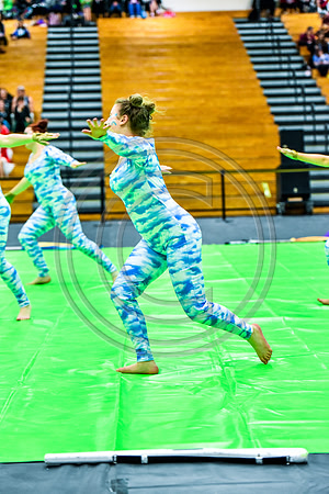 Wayne Valley Guard-596