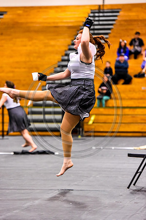 Delaware Valley University Guard-446