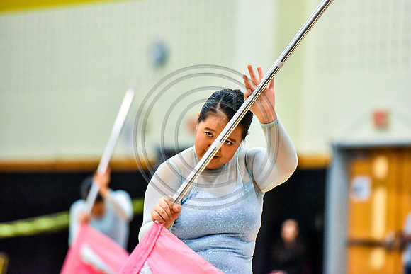 Upper Dublin Guard-409