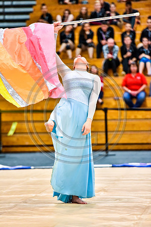 Upper Dublin Guard-419