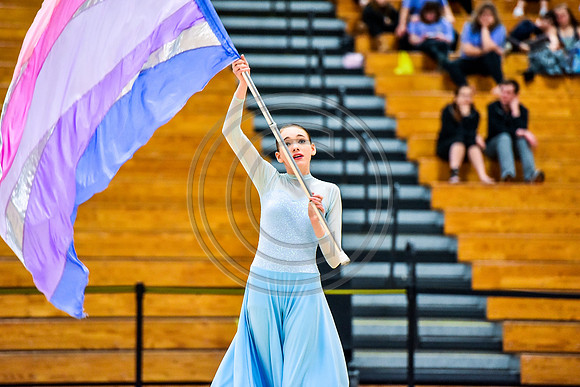 Upper Dublin Guard-380