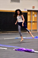Monroe Guard-580