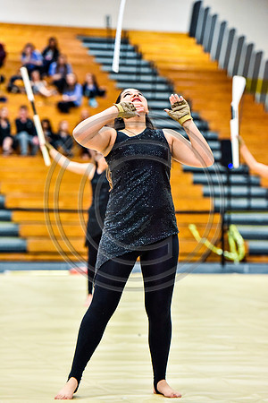 Manchester Township Performance Ensemble-090