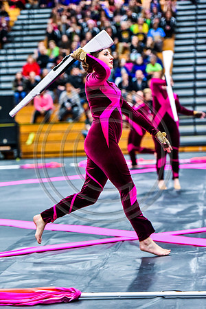 Council Rock South Guard-2015