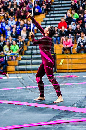 Council Rock South Guard-2019