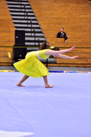 Hillsborough B Guard-1267