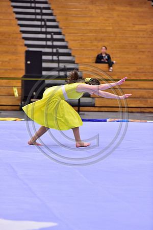 Hillsborough B Guard-1267