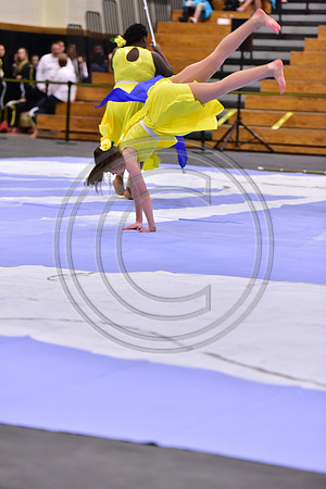 Hillsborough B Guard-1319