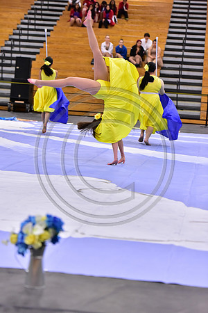 Hillsborough B Guard-1325