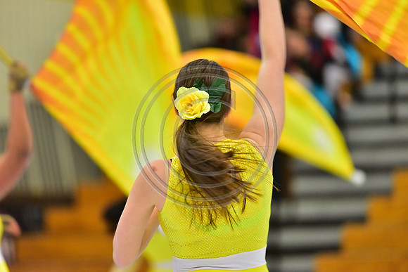 Hillsborough B Guard-1304