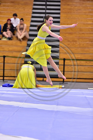 Hillsborough B Guard-1263
