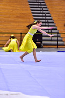 Hillsborough B Guard-1266
