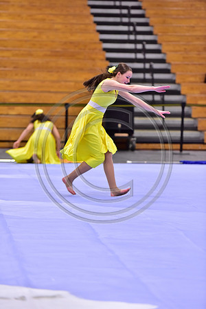 Hillsborough B Guard-1266
